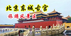 肏美女骚屄使劲肏av中国北京-东城古宫旅游风景区